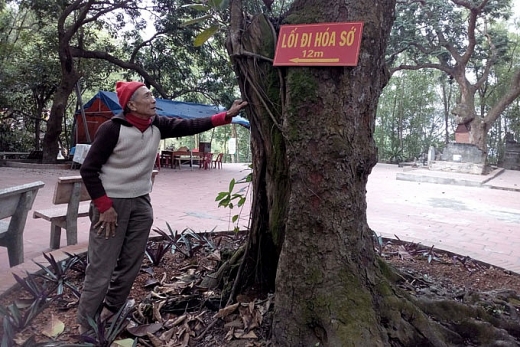 ngoi den la o hai duong