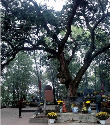 ngoi den la o hai duong