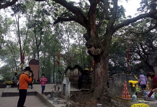 ngoi den la o hai duong