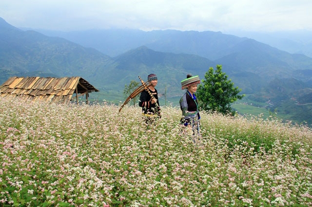 ca thang san ve 0 dong di du dua khap viet nam