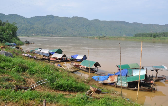 bap benh doi song dan van chai