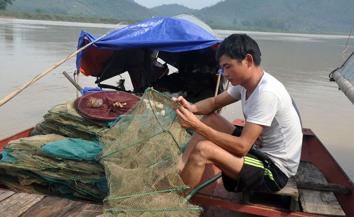 bap benh doi song dan van chai