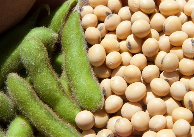 h hoạ,https://kinhtexaydung.petrotimes.vn