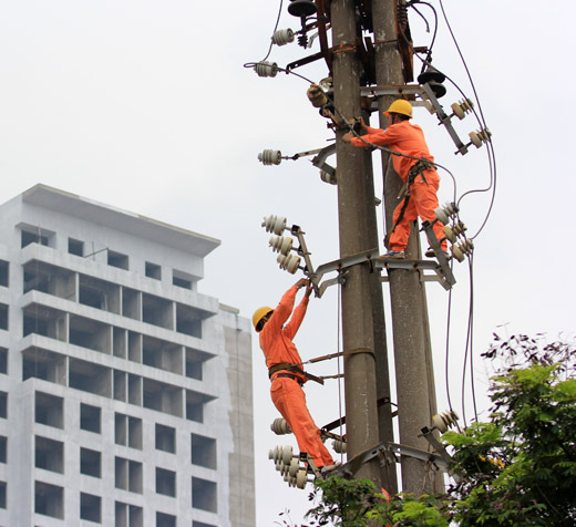 Cần sự vào cuộc đồng bộ Cần sự vào cuộc đồng bộ