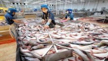 bo cong thuong hoan tat chuong trinh phong ve thuong mai