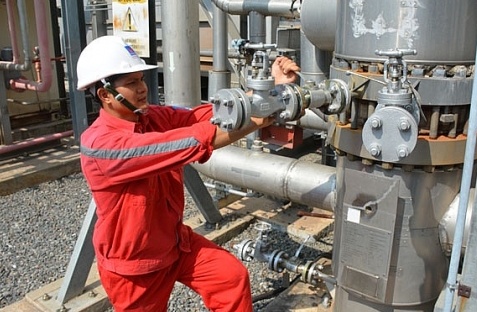Điện lực Dầu khí Nhơn Trạch - Cánh chim đầu đàn