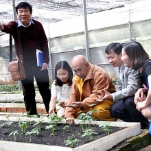 duyen lanh voi bo tat xay cau