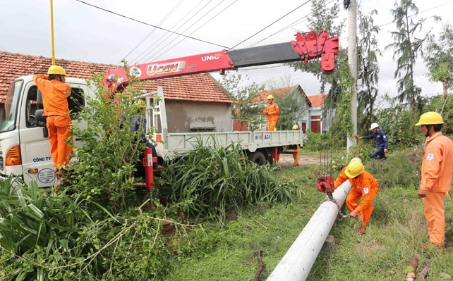 "Hoa vàng" trên xứ Nẫu