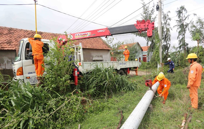 hoa vang tren xu nau