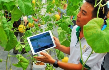 Startup Việt làm gì để bước tới thành công?
