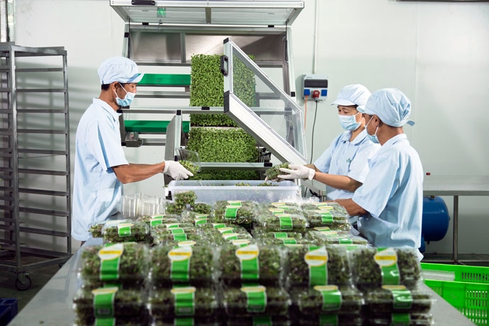 startup viet lam gi de buoc toi thanh cong