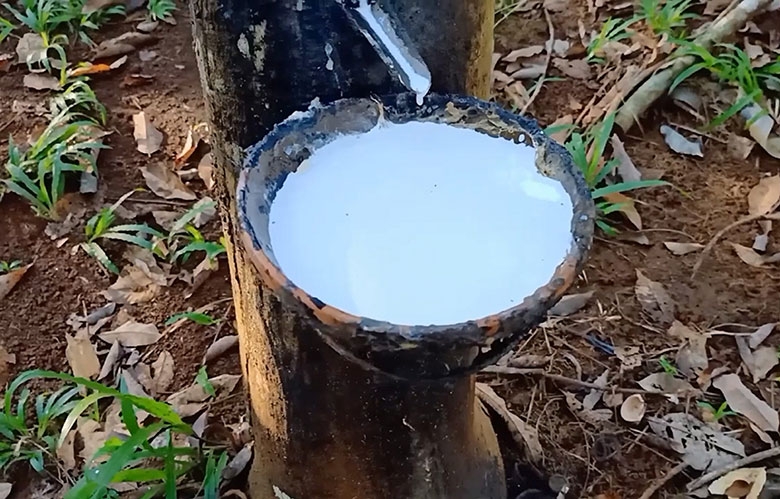 Nhọc nhằn khai thác 