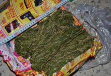 bat bang mua ban ma tuy trong khu nha mang nhen