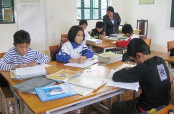 Những bó hoa dại ấm lòng thầy cô