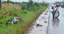 tai nan lien hoan tai tp cao bang