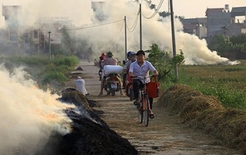 Nguy hại trăm bề