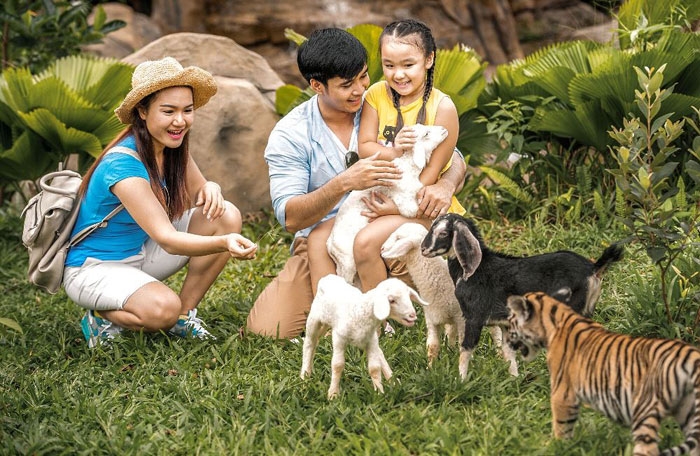 VinPearl Safari đăng cai tổ chức hội nghị bảo tồn và phúc trạng động vật lớn nhất Đông Nam Á vinpearl safari dang cai to chuc hoi nghi bao ton va phuc trang dong vat lon nhat dong nam a