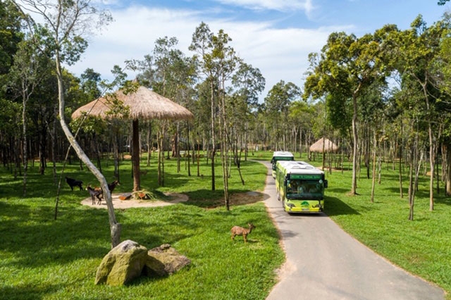 VinPearl Safari đăng cai tổ chức hội nghị bảo tồn và phúc trạng động vật lớn nhất Đông Nam Á vinpearl safari dang cai to chuc hoi nghi bao ton va phuc trang dong vat lon nhat dong nam a