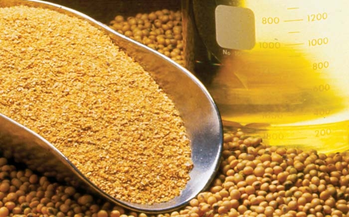 Ảnh minh họa.https://kinhtexaydung.petrotimes.vn