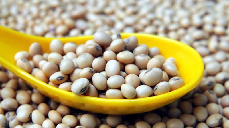 Ảnh minh hoạ,https://kinhtexaydung.petrotimes.vng là mặt hàng đang chịu sức ép lớn nhất nhóm nông sản