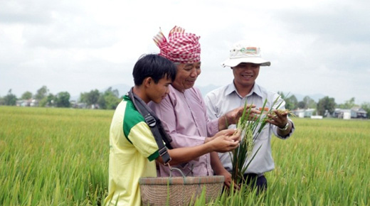 Đạm Cà Mau đưa 772.500 tấn ure ra thị trường, hoàn thành kế hoạch 2014