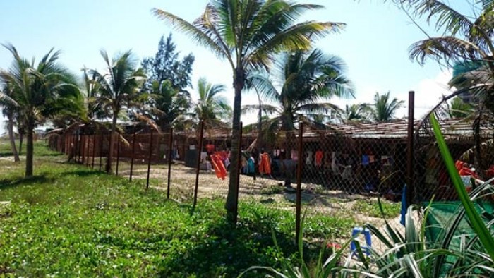 nguoi trung quoc mua dat o da nang de lam gi