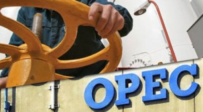 Giá xăng dầu hôm nay 23/8: Những chỉ báo không lạc quan
