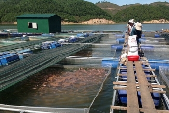 Xây dựng lại theo hướng bền vững
