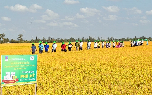 Niềm mơ ước của những cánh đồng niem mo uoc cua nhung canh dong