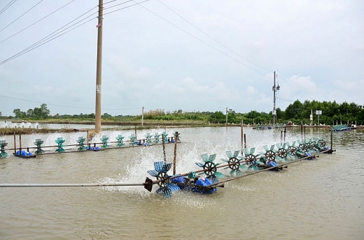 tiet kiem dien trong nuoi tom tai soc trang