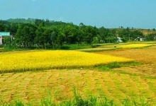 tai sao nang suat lao dong viet nam thap