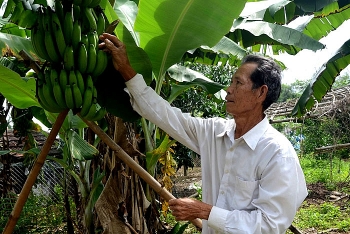 Thảm nạn… trời sa xuống đất