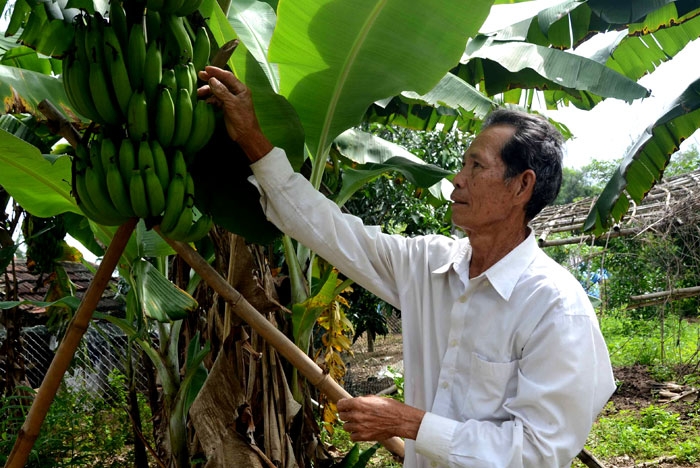 tham nan troi sa xuong dat