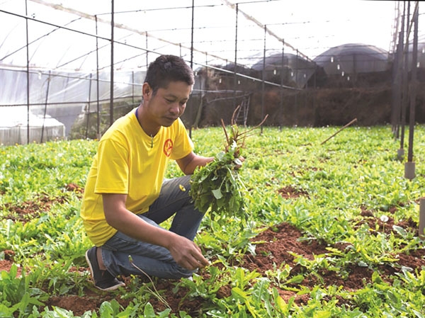Trang trại không chỉ làm nông