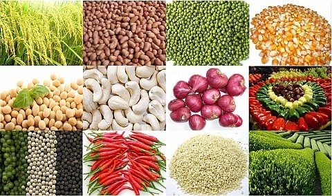 Ảnh minh hoa. https://kinhtexaydung.petrotimes.vn