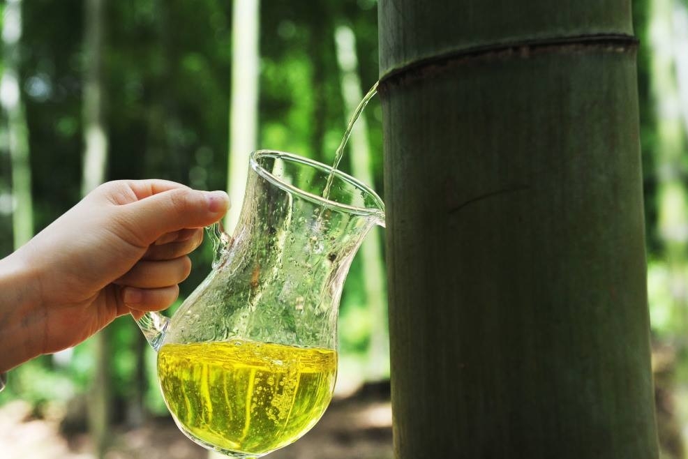 Độc đáo phương pháp ủ rượu trong ống tre tươi của người Trung Quốc