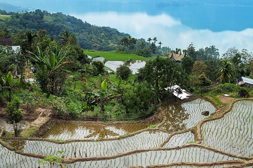 Việt Nam sở hữu 2 ruộng bậc thang đẹp nhất thế giới