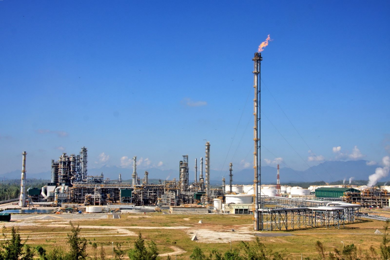 BSR: 24 năm Ngày truyền thống BSR: 24 năm Ngày truyền thống