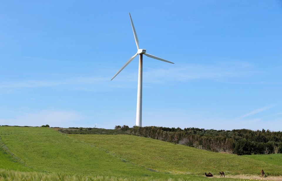 Tunisia khởi động đấu thầu quốc tế cho 2.000 MW điện tái tạo