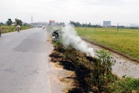 Thủ đô bị "hun" trong khói đốt rơm