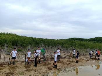 PVEP hưởng ứng Ngày Đại dương thế giới và Ngày Môi trường thế giới năm 2019