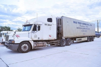 Phát hiện tài xế container điều khiển xe trong tình trạng phê ma túy