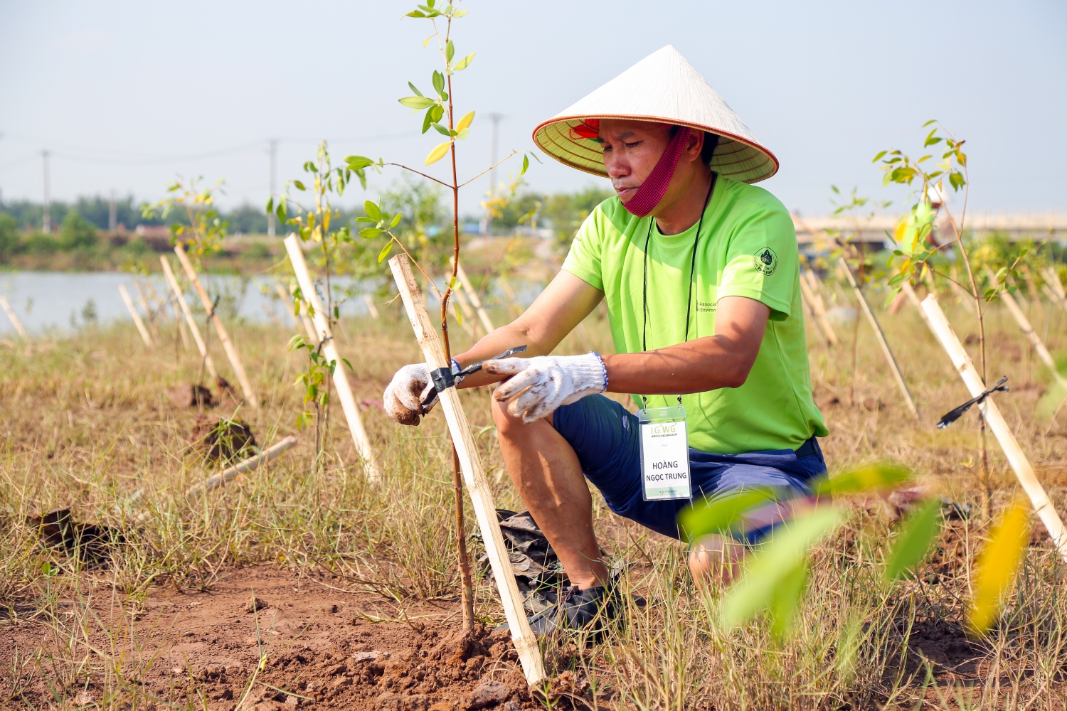 pvep tham gia trong cay phuc hoi rung ngap man