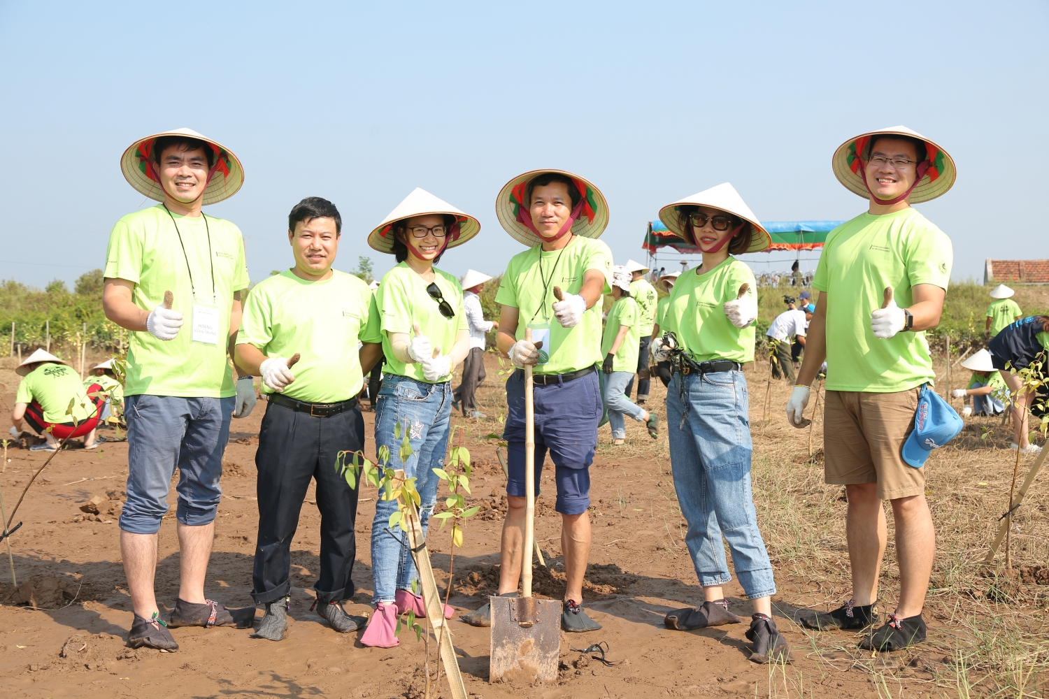 pvep tham gia trong cay phuc hoi rung ngap man