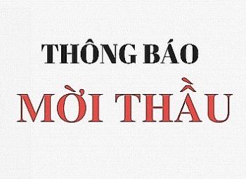 Thông tin mời thầu