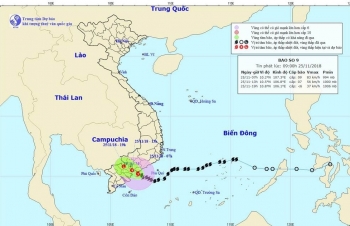 Ứng phó cơn bão số 9: Các dự án của PVEP đảm bảo an toàn