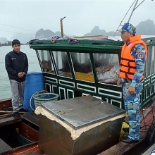 tphcm tieu huy lo hang nhap lau tri gia hon 2 ty dong