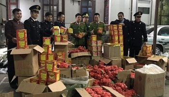 Lạng Sơn: Thu giữ gần 1 tấn pháo nổ