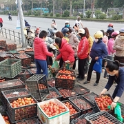 Bộ Công Thương: Khẩn cấp chung tay gỡ khó cho nông sản vùng dịch