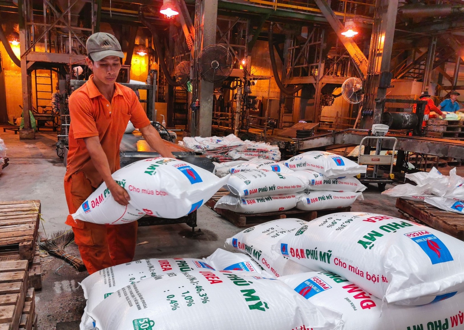 Bài 4: Nâng cao lý luận chính trị bằng cách học tập Bác Hồ